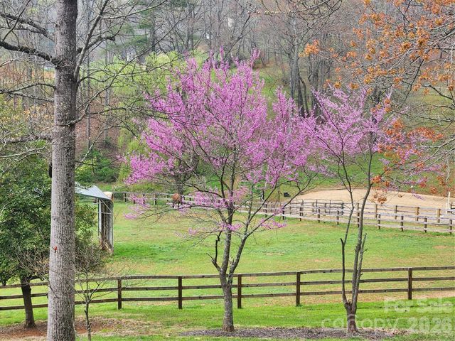 1552 Bear Creek Road, Leicester, NC 28748