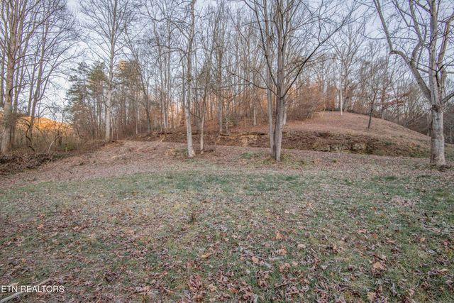 299 Big Mountain Hollow Rd, Oliver Springs, TN 37840