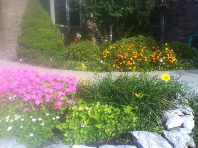 2992 W Cedarbluff Drive, Springfield, MO 65810