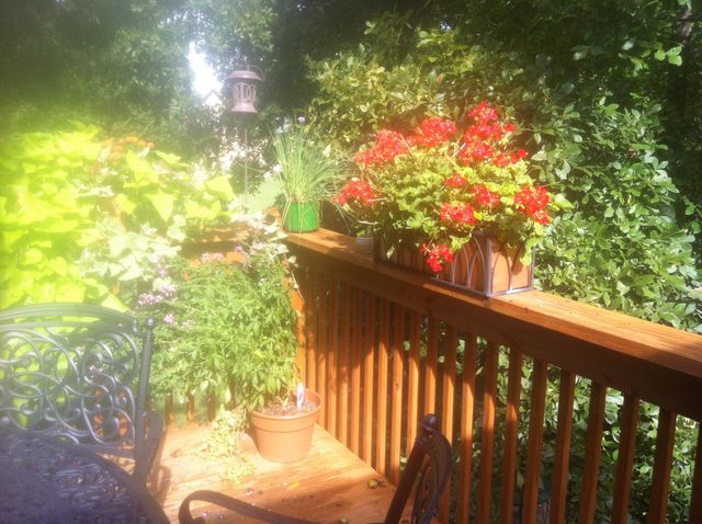 2992 W Cedarbluff Drive, Springfield, MO 65810