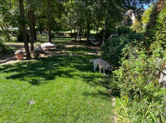 2992 W Cedarbluff Drive, Springfield, MO 65810