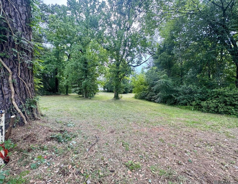 Lot B N Range Ave, Denham Springs, LA 70726