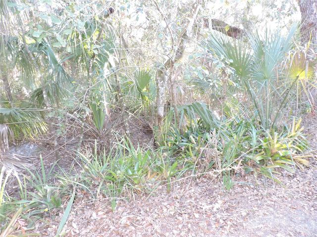 1121 BIG OAK DRIVE, Lake Wales, FL 33898