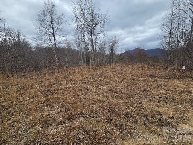 138 Fairlane Loop 19, Whittier, NC 28789