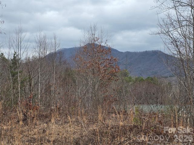 138 Fairlane Loop 19, Whittier, NC 28789