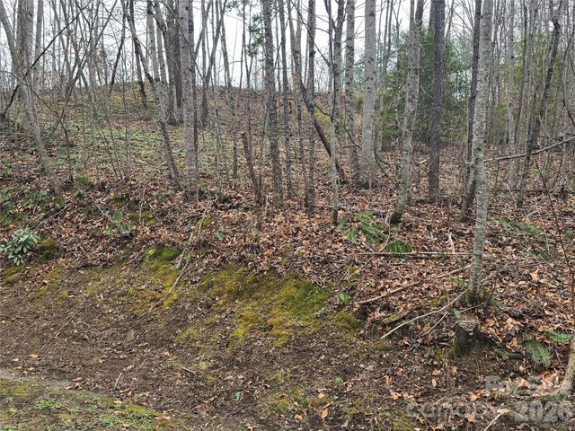 138 Fairlane Loop 19, Whittier, NC 28789