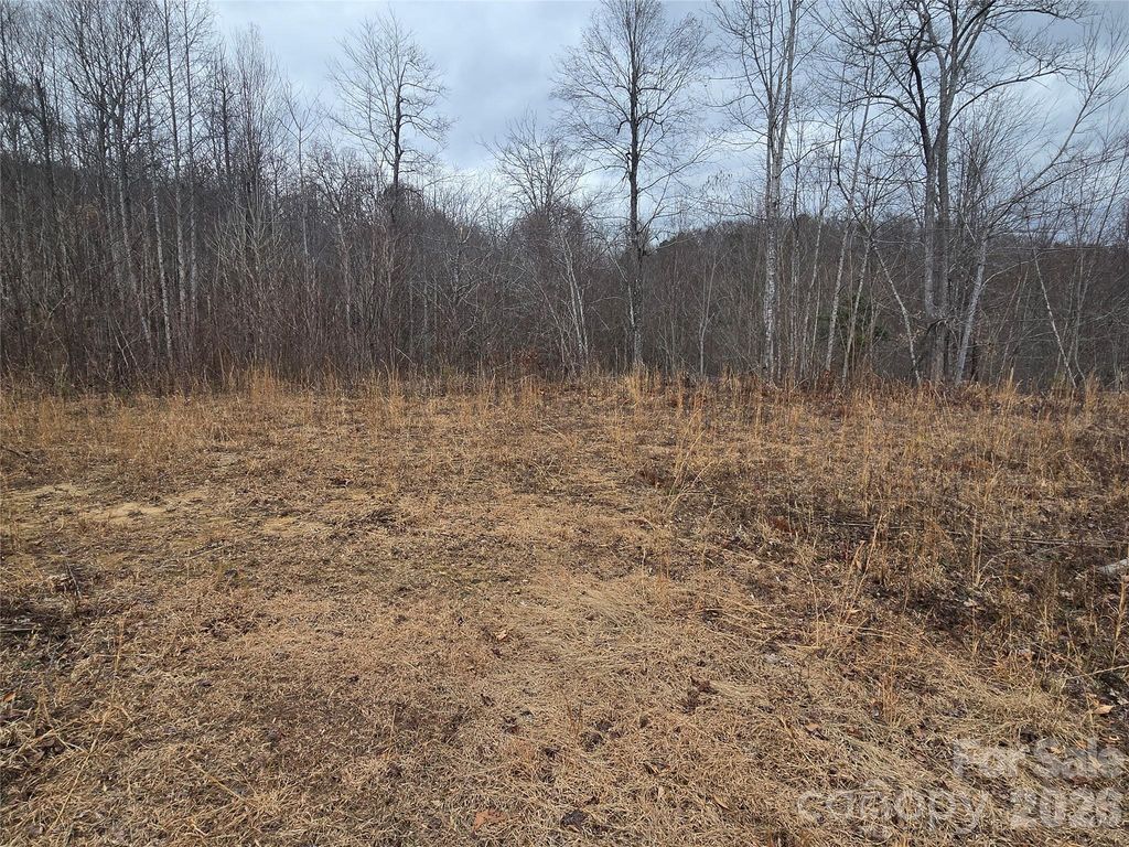 138 Fairlane Loop 19, Whittier, NC 28789