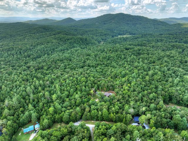 185 Pine Lane, Mineral Bluff, GA 30559
