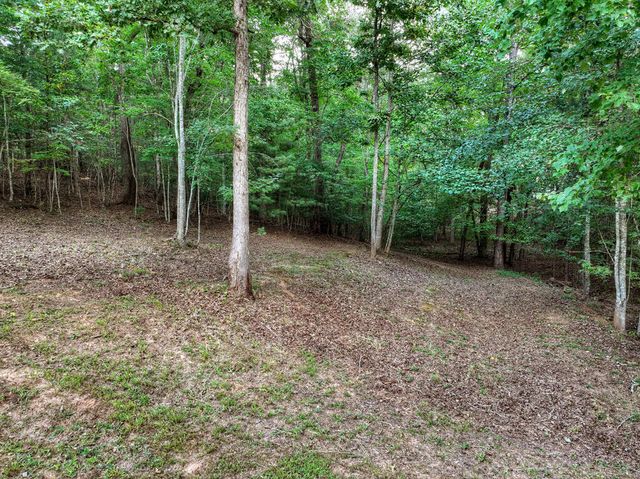 185 Pine Lane, Mineral Bluff, GA 30559