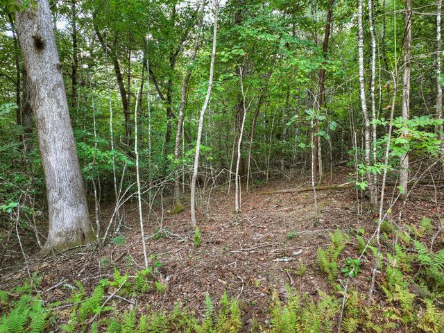 185 Pine Lane, Mineral Bluff, GA 30559