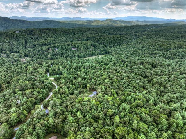185 Pine Lane, Mineral Bluff, GA 30559
