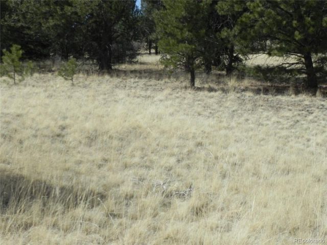 1058 Monarch Dr, Cripple Creek, CO 80813