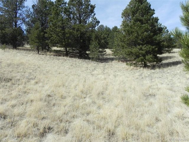 1058 Monarch Dr, Cripple Creek, CO 80813