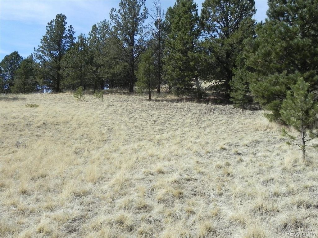 1058 Monarch Dr, Cripple Creek, CO 80813