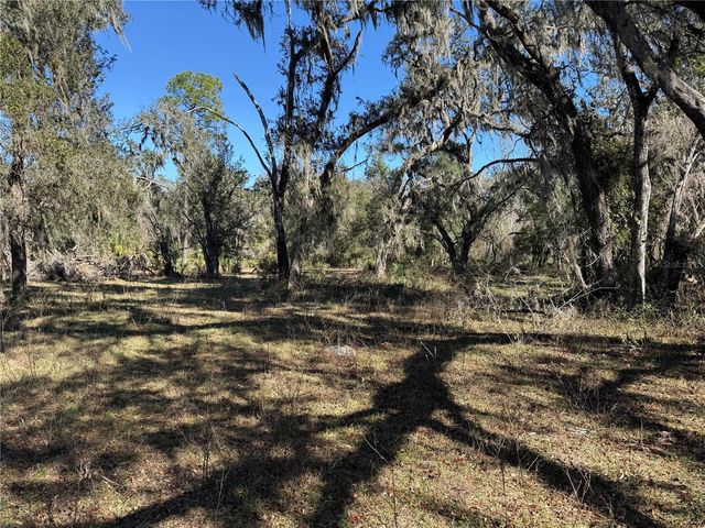 18630 BRADSHAW ROAD, Dade City, FL 33523