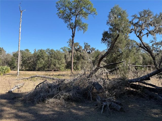 18630 BRADSHAW ROAD, Dade City, FL 33523