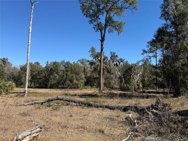 18630 BRADSHAW ROAD, Dade City, FL 33523