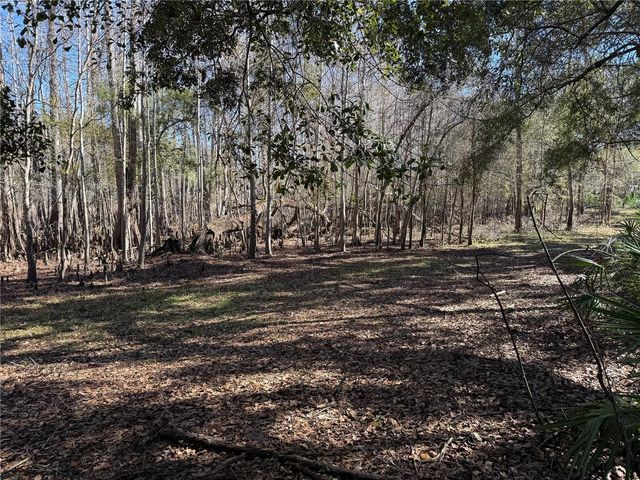 18630 BRADSHAW ROAD, Dade City, FL 33523