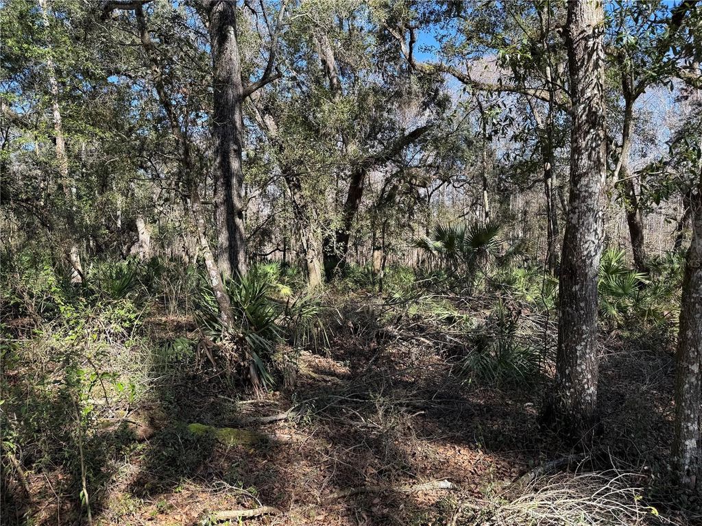 Image 33 of property listing at 18630 BRADSHAW ROAD, Dade City, FL 33523