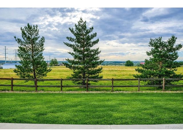 11554 Yellow Daisy Dr, Parker, CO 80134
