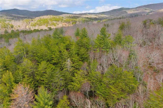 225 Smallwood Road, Ellijay, GA 30536