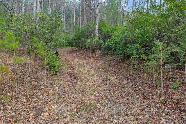 225 Smallwood Road, Ellijay, GA 30536