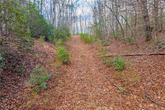 225 Smallwood Road, Ellijay, GA 30536