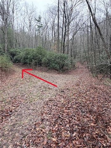 225 Smallwood Road, Ellijay, GA 30536