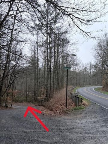 225 Smallwood Road, Ellijay, GA 30536