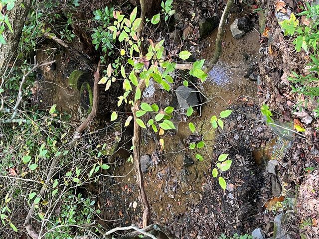 221 Sagewood Trail, Murphy, NC 28906