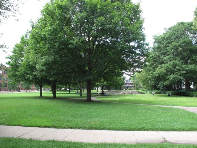 911 Maple Avenue 2N, Evanston, IL 60202