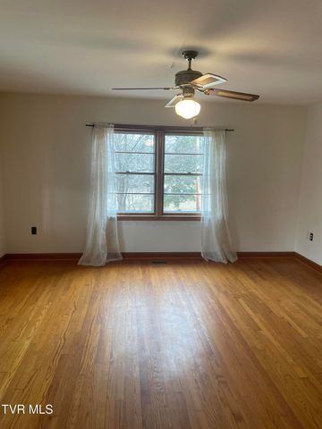 371 North Holston River Drive, Kingsport, TN 37660