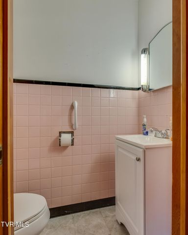 371 North Holston River Drive, Kingsport, TN 37660