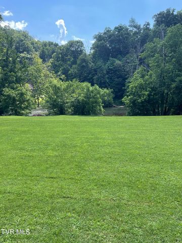 371 North Holston River Drive, Kingsport, TN 37660
