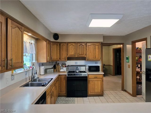 2867 Mapleview Lane, Avon, OH 44011