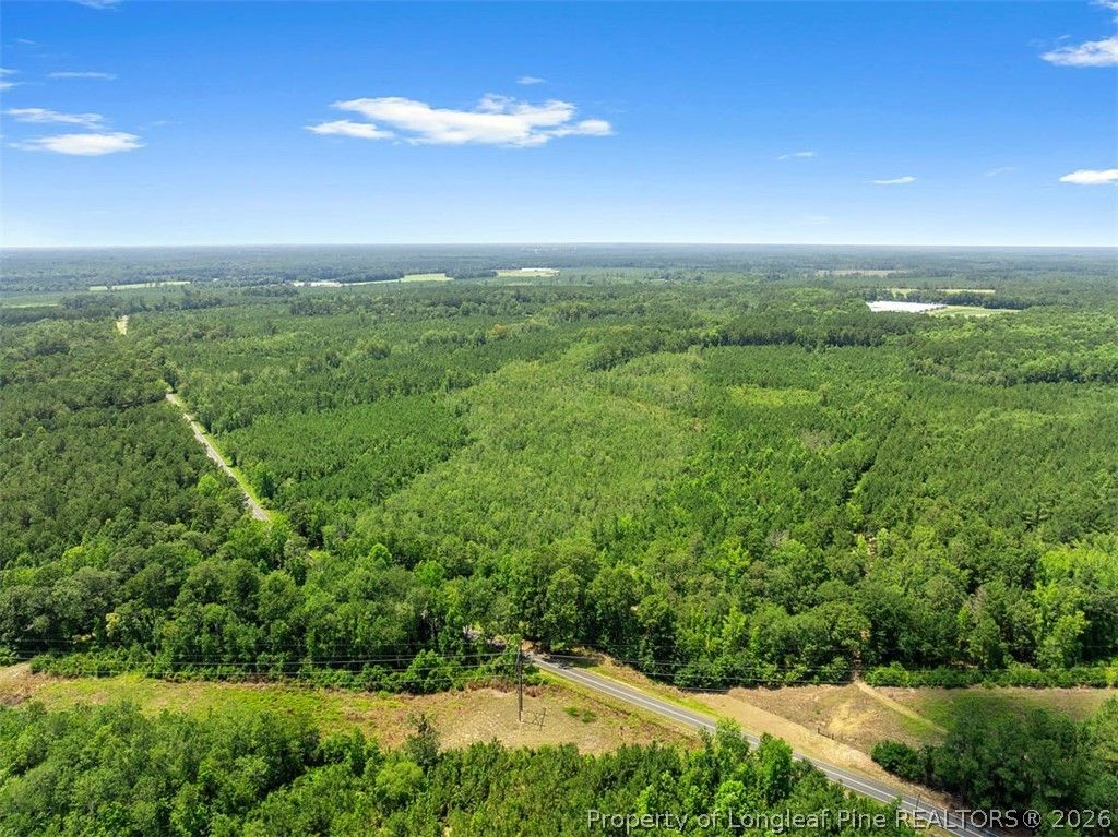 Burney Road, White Oak, NC 28399 — photo 2