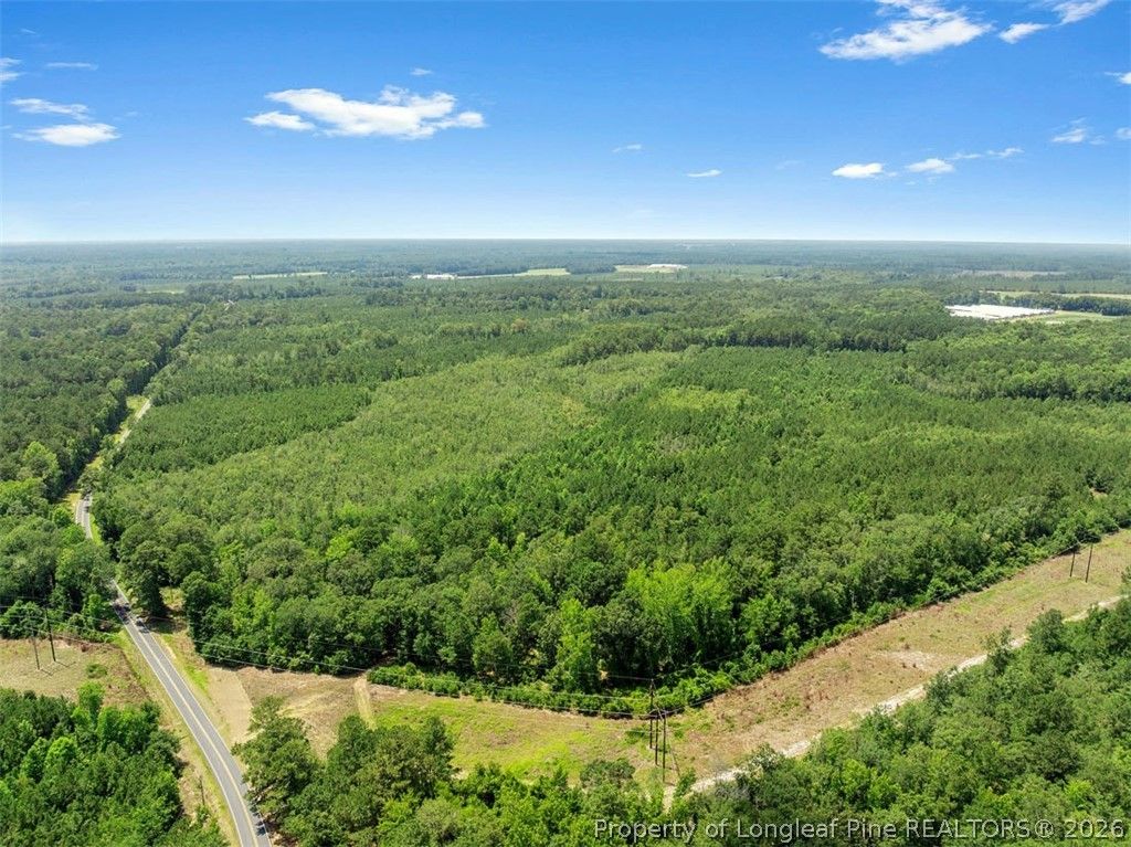 Burney Road, White Oak, NC 28399 — photo 3