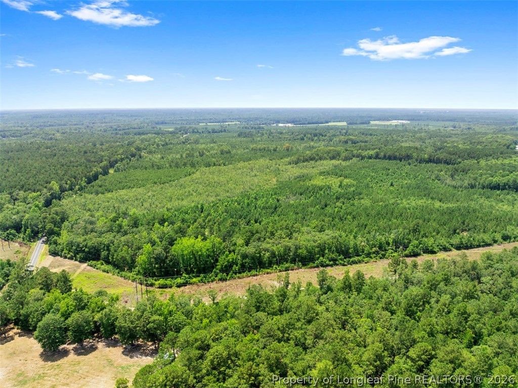 Burney Road, White Oak, NC 28399 — photo 4