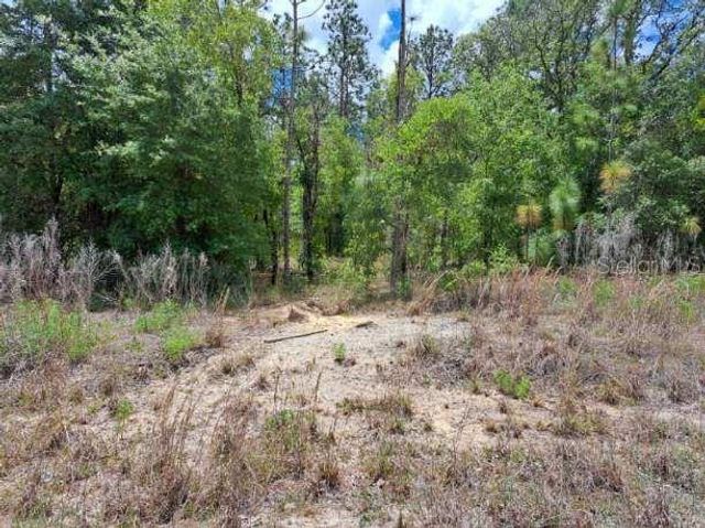 SW 89 STREET, Dunnellon, FL 34432