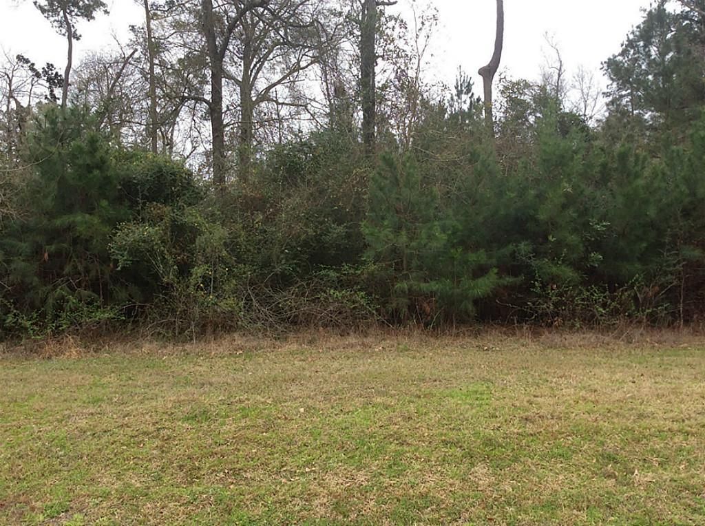 0 Windmill Road, New Waverly, TX 77358