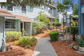 3241 Monika Lane, Hayward, CA 94541