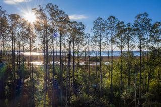 2296 Minifarm Way 525, Mount Pleasant, SC 29466