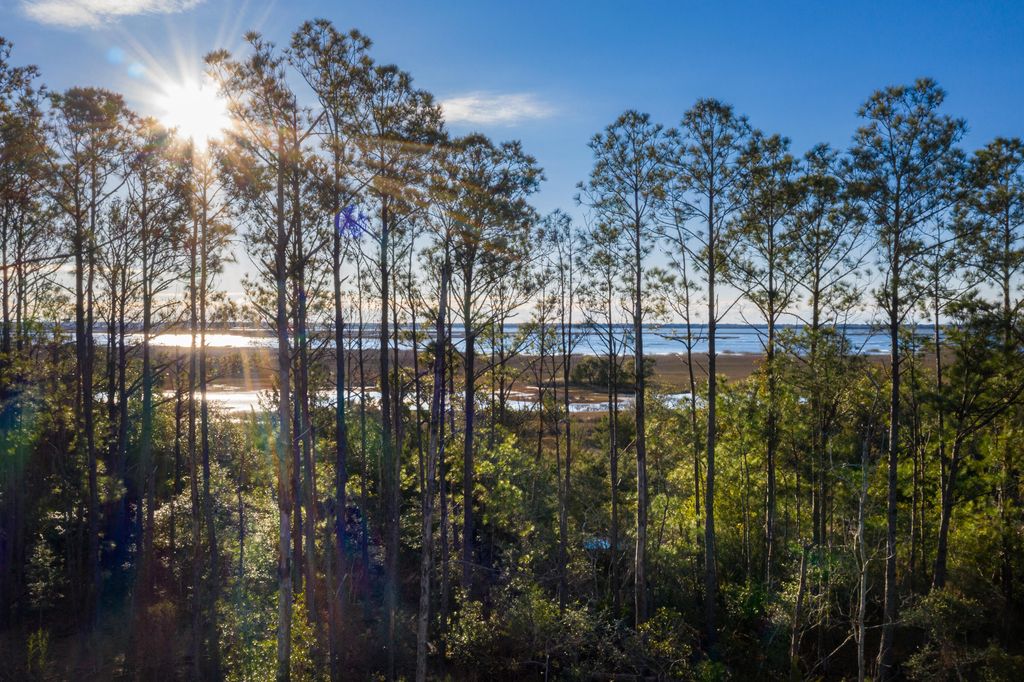 2296 Minifarm Way 525, Mount Pleasant, SC 29466