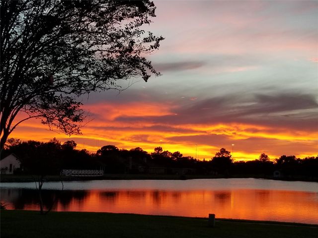 3013 Flower Field Lane 4, Pearland, TX 77584