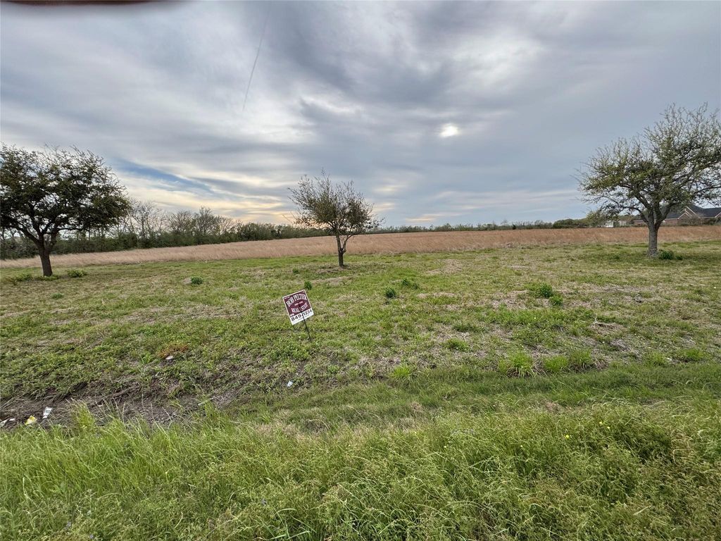 01 County Road 46, Danbury, TX 77534