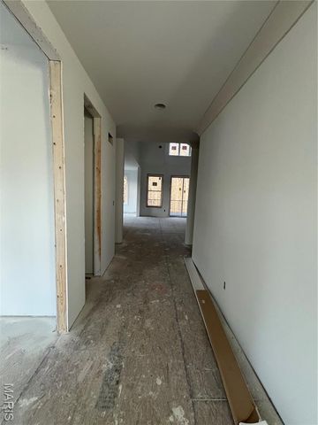 4225 Napa View Lane, Unincorporated, MO 63304