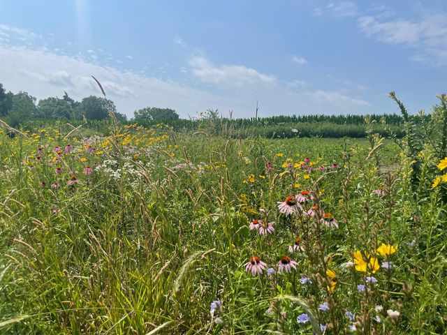 8885 Burmeister Road, Bridgewater Twp, MI 48176