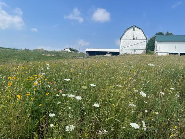 8885 Burmeister Road, Bridgewater Twp, MI 48176