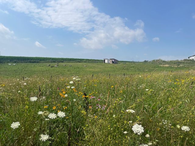 8885 Burmeister Road, Bridgewater Twp, MI 48176