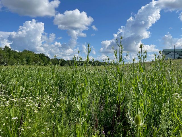 8885 Burmeister Road, Bridgewater Twp, MI 48176